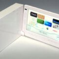 Portable Wii Screen