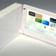 Portable Wii Screen