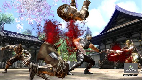 Ninja Gaiden 2 screens