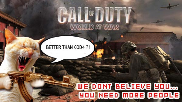 Call of Duty: World at War better than Call of Duty 4