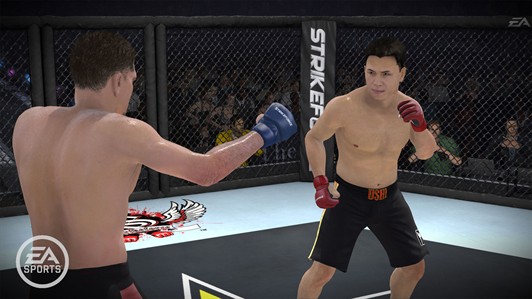 EA-Sports-MMA---Signature-Styles